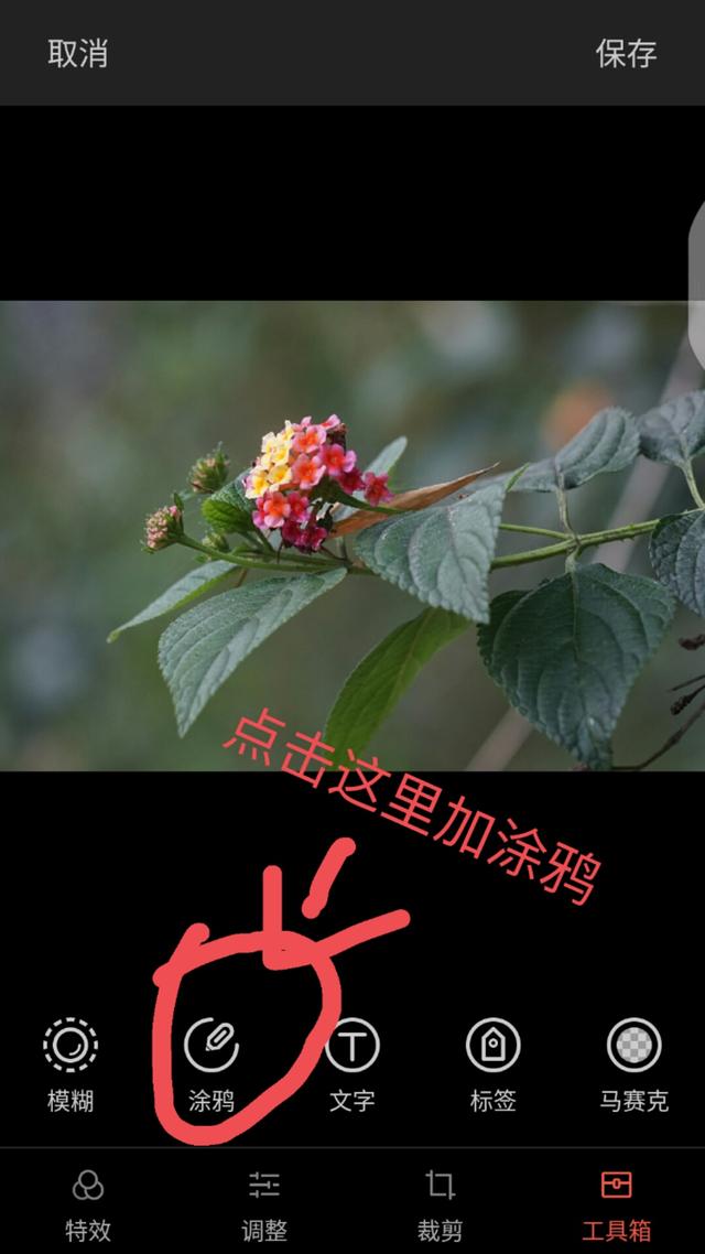 怎么在手机照片上加上时间日期,手机照片上怎样加日期和地址