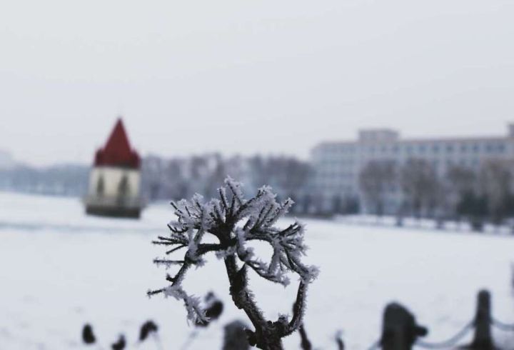 聊聊哈尔滨师范大学,哈尔滨师范大学怎么样呢