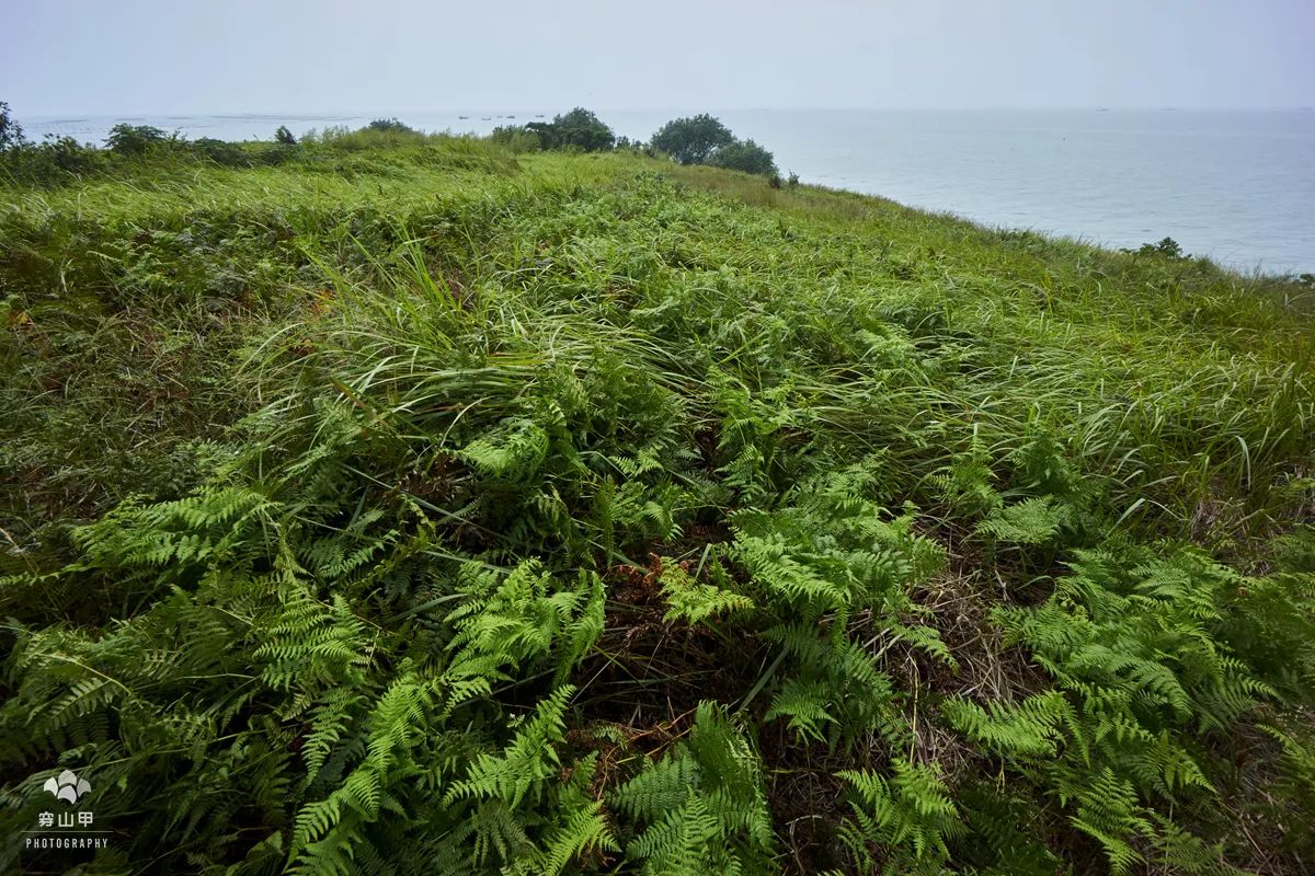 江苏省太湖一座小岛,太湖两个小岛