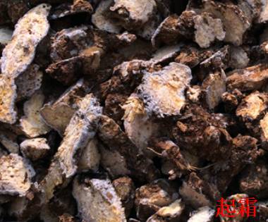 中药中的苍术,中药苍术配方大全