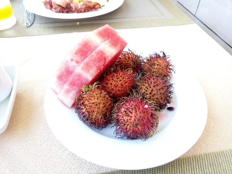 越南芽庄五指湾游记,柬埔寨越南芽庄的游记