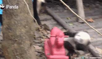 网友家的猫坐键盘上，偶然竟打出这几个字，可以说，细思极恐了！