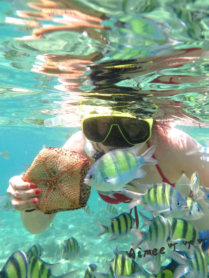 阳光沙滩与海边,阳光与沙滩结局