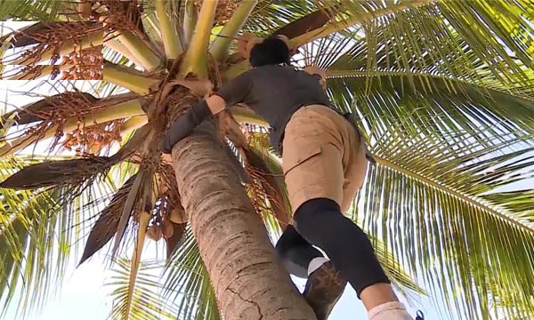 帕劳旅游攻略视频大全,帕劳旅游攻略必去的景点