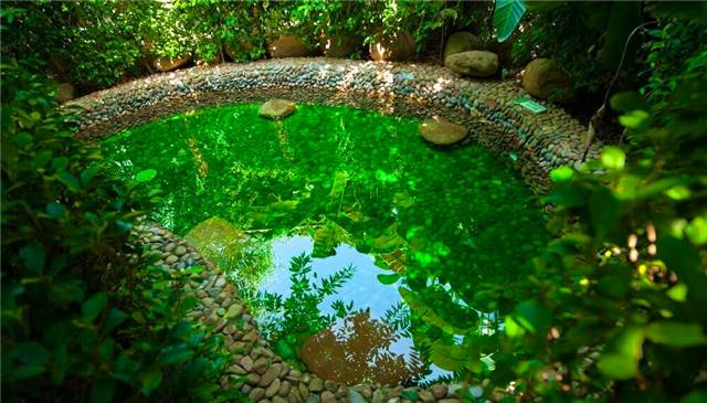 福州温泉热门推荐,福州温泉网红打卡地