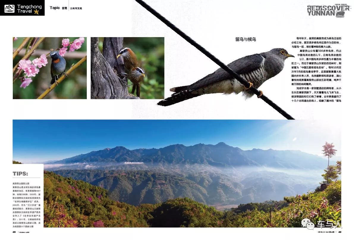 腾冲一个清净古朴的边陲小城,腾冲避暑旅居推荐