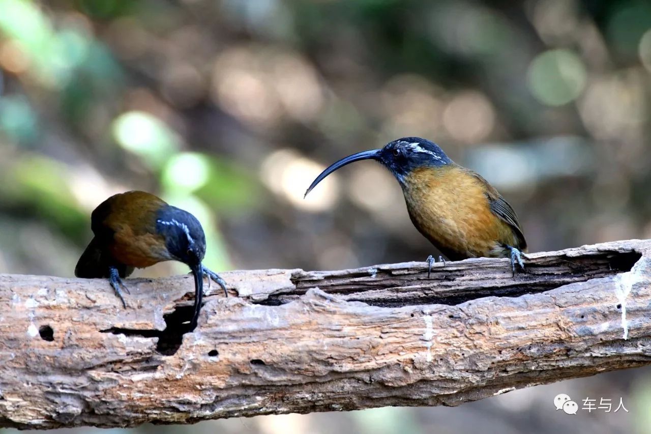 腾冲一个清净古朴的边陲小城,腾冲避暑旅居推荐