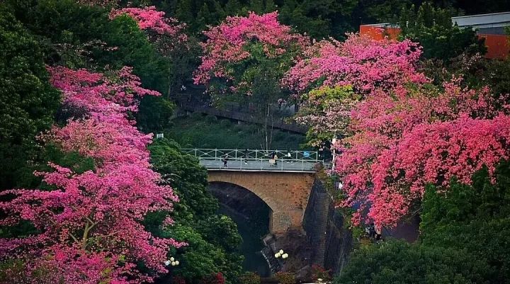 华软科技的趋势,华软科技有多厉害