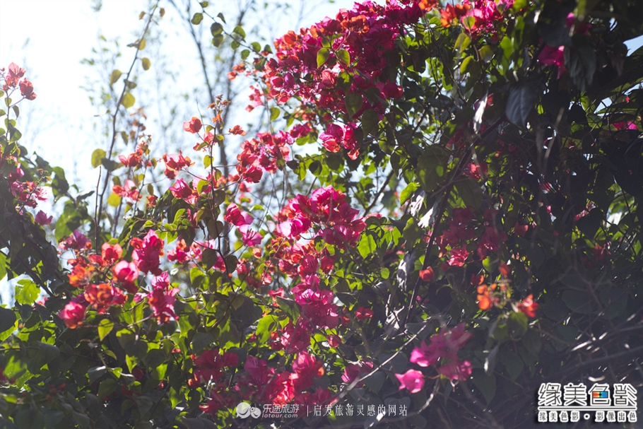 韶关新丰山间小溪自然风景,新丰最美景点