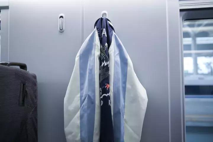 成都西成高铁旅游攻略,西成高铁和川青铁路