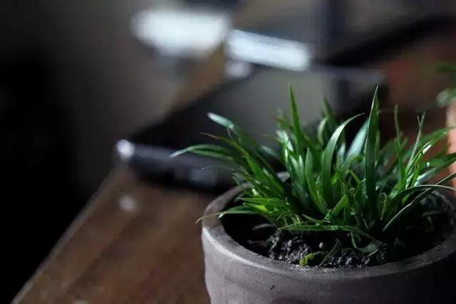 简、静、雅！中国人的书屋，骨子里的风雅