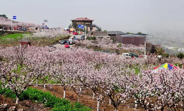 成都西成高铁旅游攻略,西成高铁和川青铁路