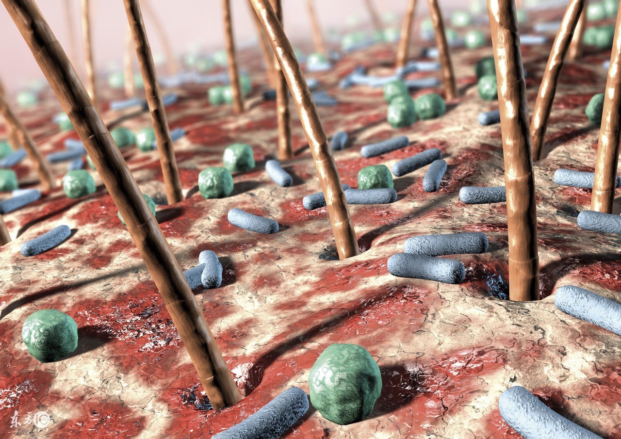 去养发馆治白发多少钱,养发馆治疗脱发靠谱吗