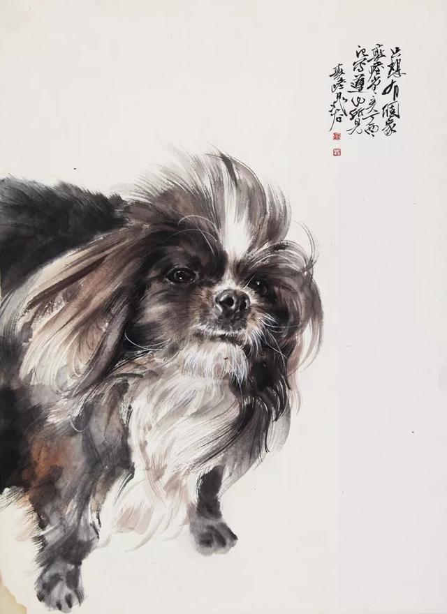 画十二生肖里的狗,晁谷画猫