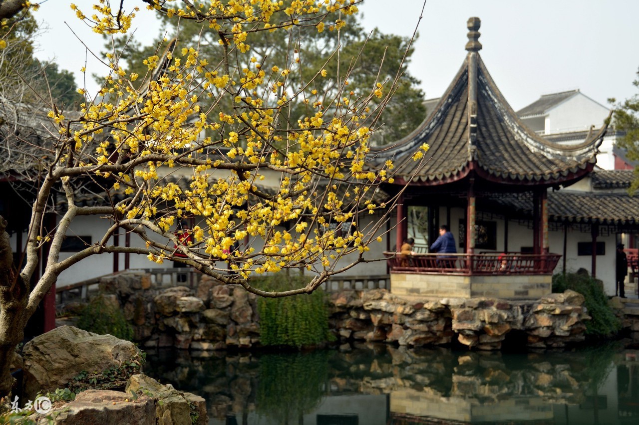 苏州之行圆满结束,苏州网师园游记