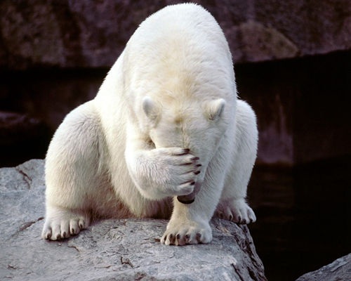 顽固性酒糟鼻,简单祛除酒糟鼻的办法