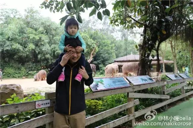 广州长隆亲子游最省钱攻略,广州长隆亲子游最全游玩攻略