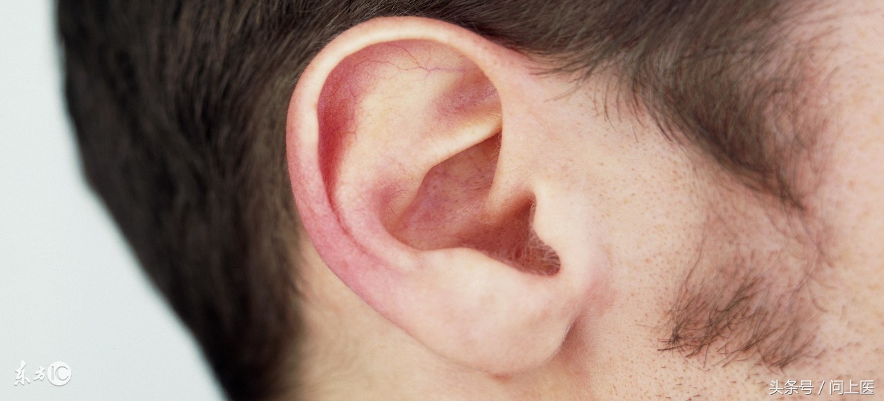 全身有体毛就是多毛症吗,病态性多毛症状