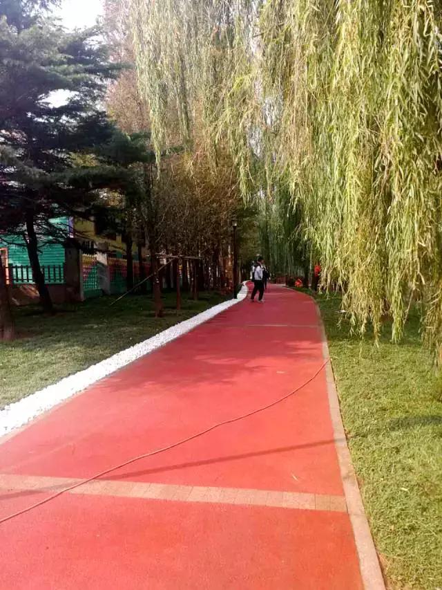 大连星海广场改造现在能玩吗,大连星海广场改造后的效果图