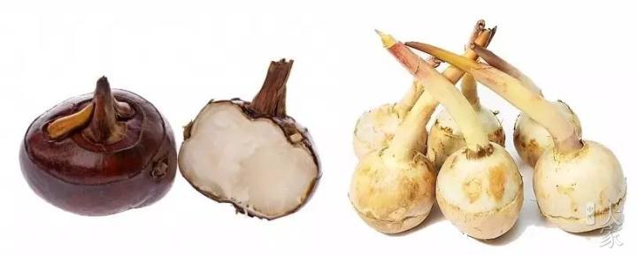 夜深知雪重的古诗,夜深知雪重的意思