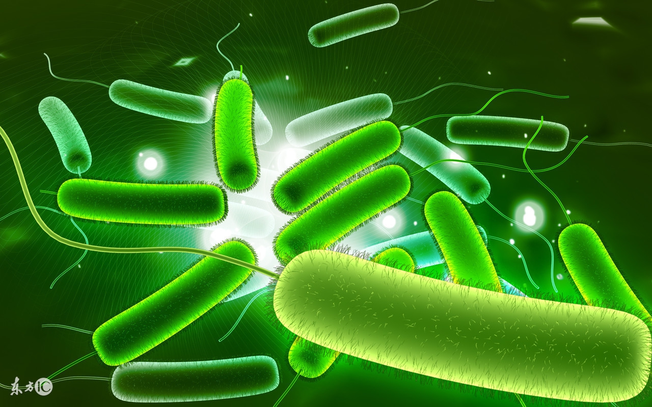 口腔内脸部肿怎么回事,口腔炎症导致脸部肿怎么消