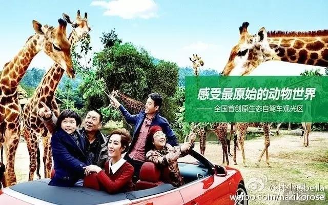 广州长隆亲子游最省钱攻略,广州长隆亲子游最全游玩攻略