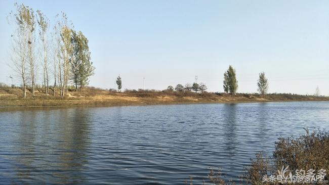 冬钓封竿,冬钓鲫鱼爆护