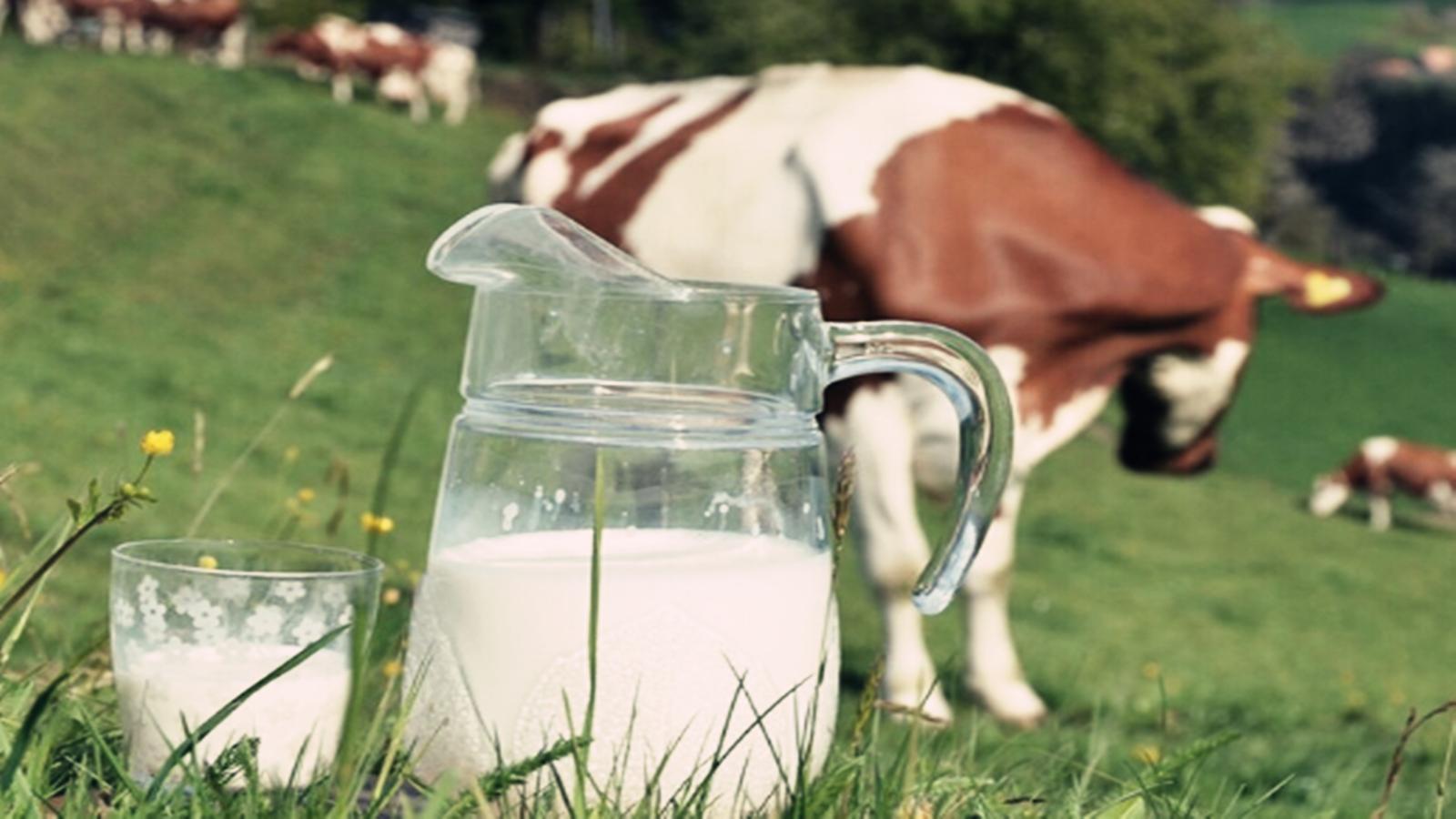 宝宝上火怎么办最有效方法,宝宝上火了请问大家怎么办