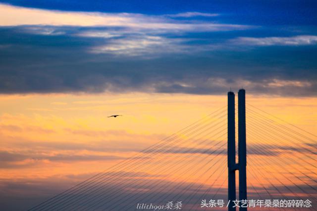 诺唯真邮轮喜悦号攻略,诺维真喜悦号日本游