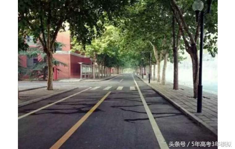 郑州外国语学校2020-2021,中原名校郑州外国语学校