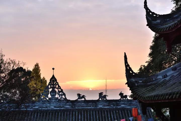 禅意的银杏,银杏的禅意