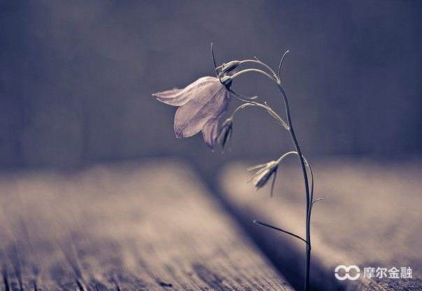 说说你的炒股经历吧,说说我的炒股生涯