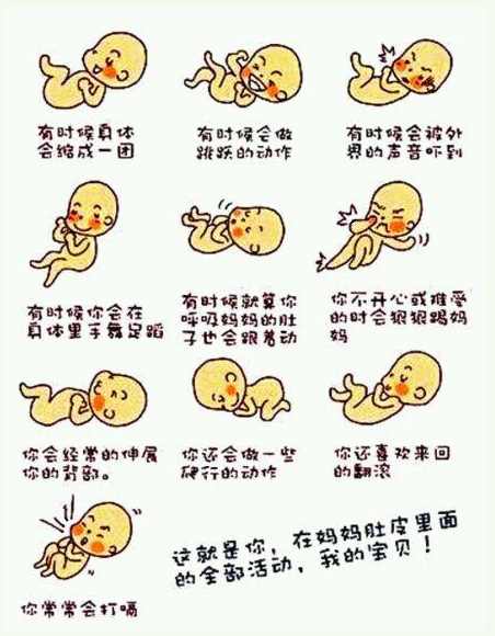如果你怀孕了，学会这些胎动知识，可以让你掌握胎儿的发育情况