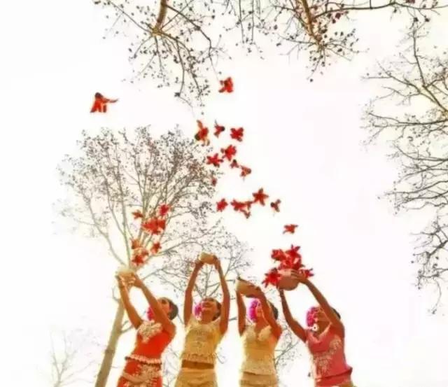 多彩的西双版纳,多彩云南版纳