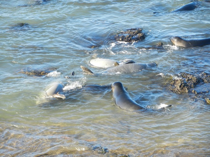 美西旅游攻略2月,美西小环线旅游攻略