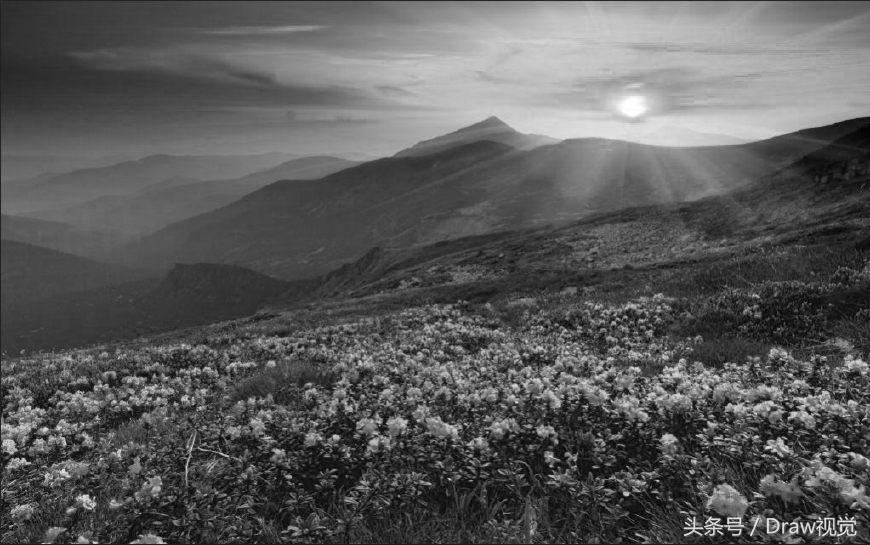 剪映黑白照片如何调色成高清,黑白照片转换卡点变彩色