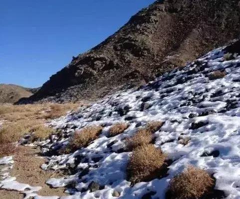 越“撸”越难，从一颗到一串，从一串到一箱，从……