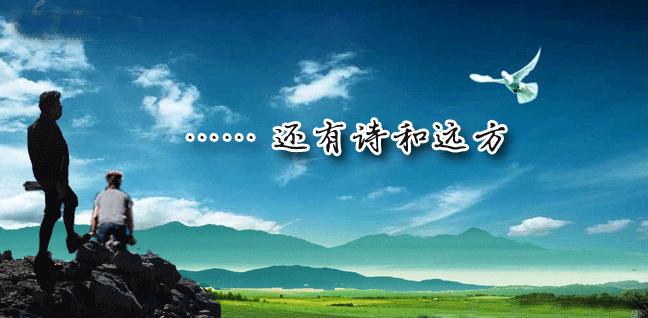 爱是痴，恋作歌！