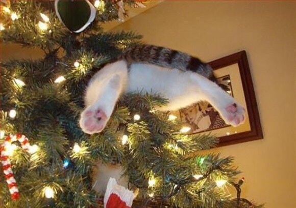 征婚找对象45至55岁男士条件优越,35岁男人征婚条件