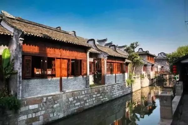 万万没想到!它低调了450多年,却因上海迪士尼一夜间火遍全国!