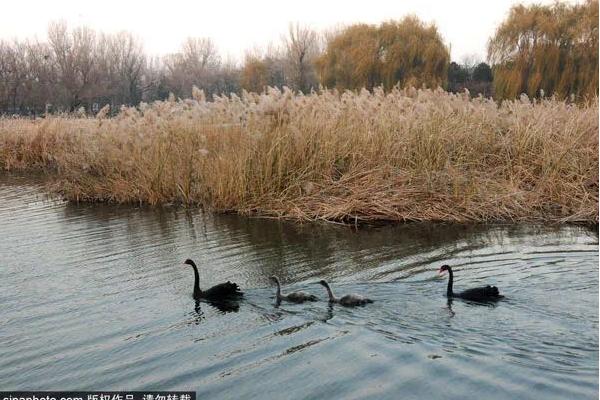 5月北京最值得去18个绝美天堂,11月北京周边游必去第一名