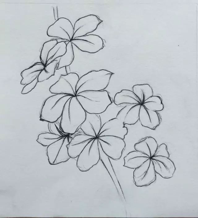 水彩色彩的正确方法和技巧,水彩中的边缘感怎么塑造