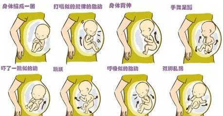 胎动是什么感觉像肠蠕动吗,胎动是什么感觉孕妇会感觉疼吗