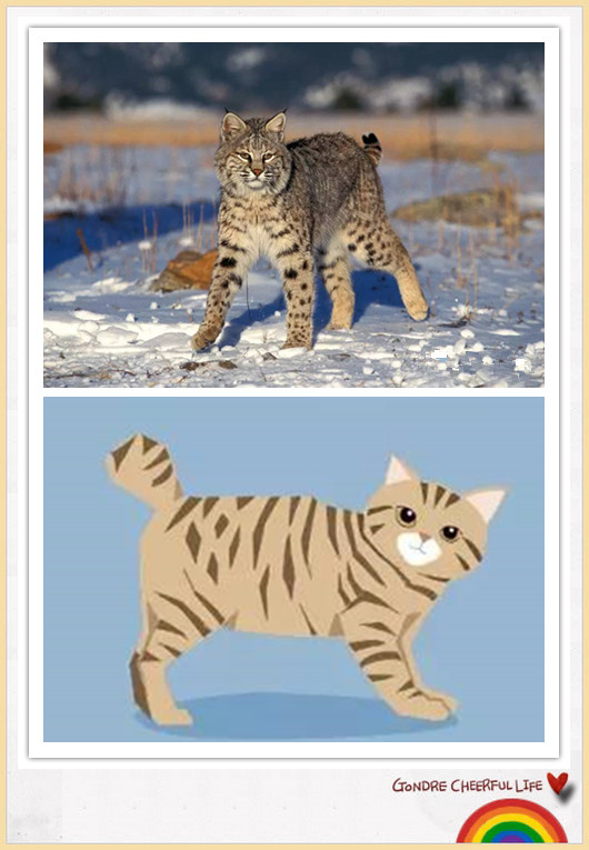 猫咪插画手绘图片,各种猫咪萌化图片