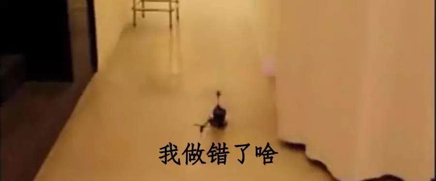 求婚还能这样玩?比李晨求婚范冰冰更浪漫的求婚表白,还不快收藏