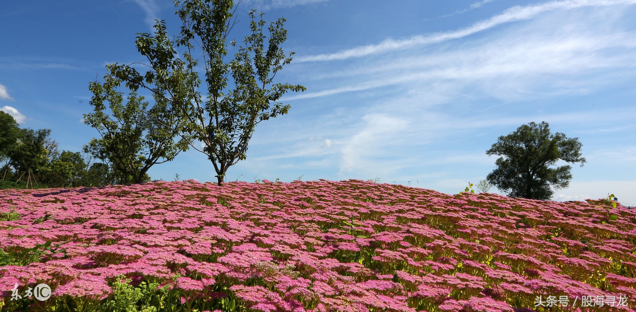 晚间重磅利好什么股,晚间利好个股最新消息