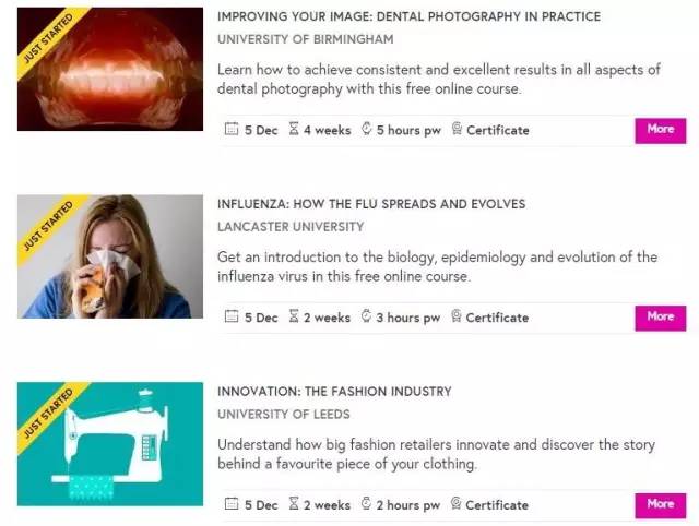 常用的国外英文网站,请收好这4个高价值的学习网站