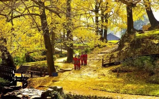 来贵州六盘水享受凉都带来的凉爽,凉都六盘水冬天多少度