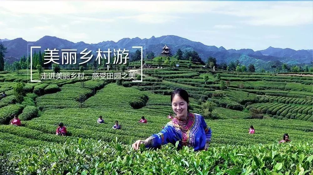 宁强旅游景点排名前十名,宁强县十大旅游景点