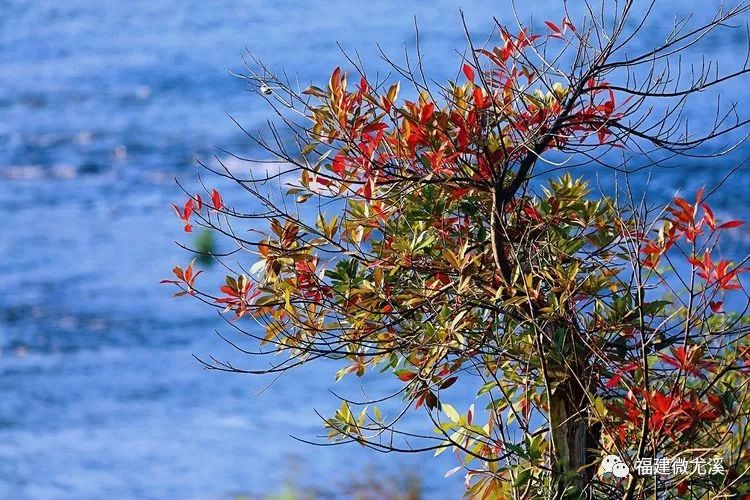 尤溪夏天旅游,关于尤溪的风景介绍